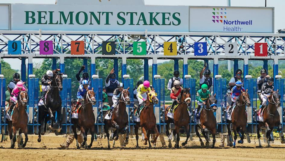 2023 Belmont Stakes, Triple Crown, National Treasure, Forte